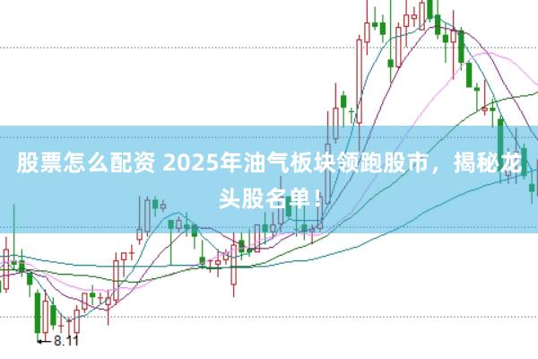 股票怎么配资 2025年油气板块领跑股市，揭秘龙头股名单！