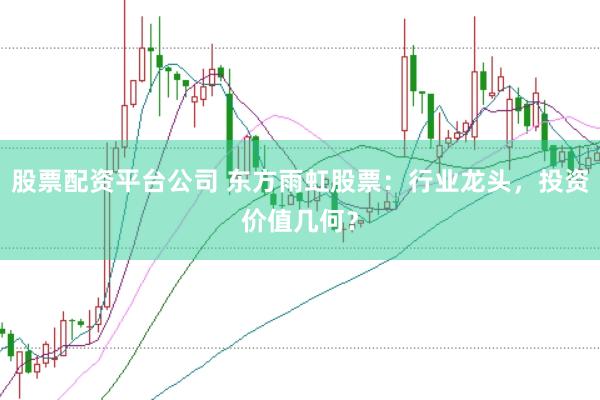 股票配资平台公司 东方雨虹股票：行业龙头，投资价值几何？
