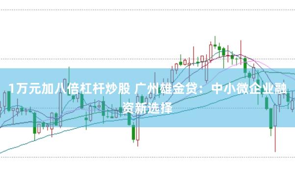 1万元加八倍杠杆炒股 广州雄金贷：中小微企业融资新选择