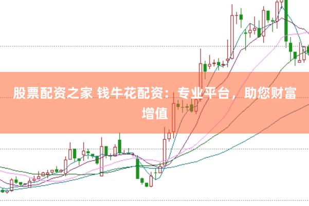 股票配资之家 钱牛花配资：专业平台，助您财富增值