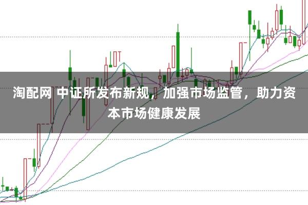 淘配网 中证所发布新规，加强市场监管，助力资本市场健康发展