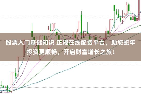 股票入门基础知识 正规在线配资平台，助您蛇年投资更顺畅，开启财富增长之旅！