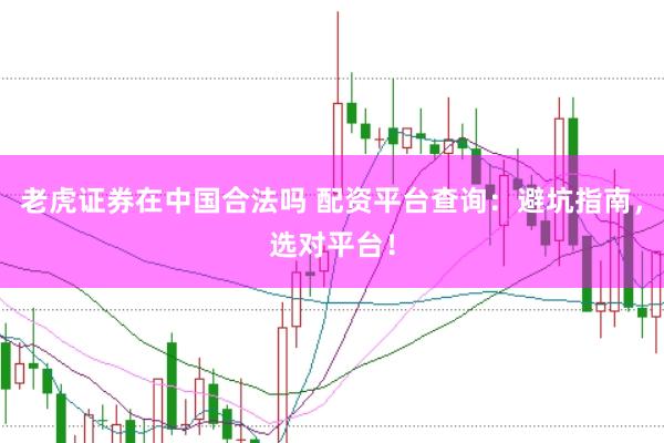 老虎证券在中国合法吗 配资平台查询：避坑指南，选对平台！