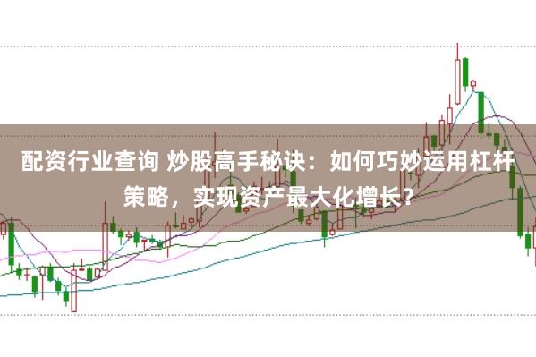 配资行业查询 炒股高手秘诀：如何巧妙运用杠杆策略，实现资产最大化增长？