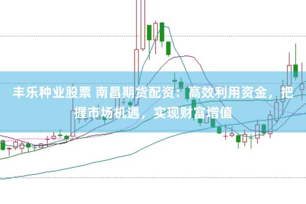 丰乐种业股票 南昌期货配资：高效利用资金，把握市场机遇，实现财富增值