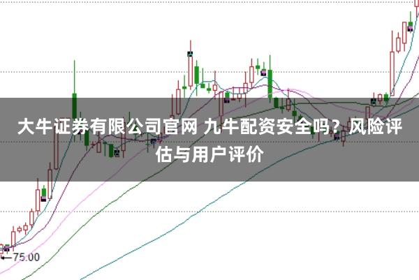 大牛证券有限公司官网 九牛配资安全吗？风险评估与用户评价