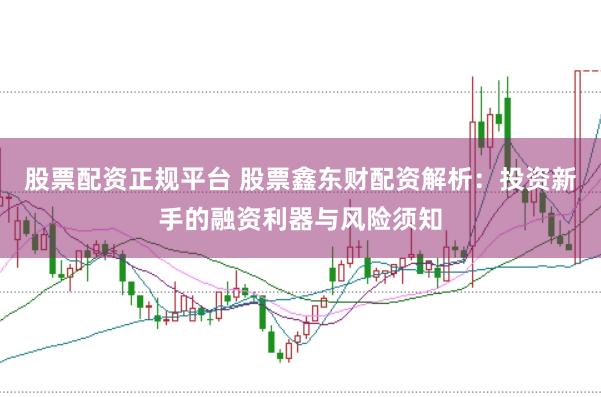股票配资正规平台 股票鑫东财配资解析：投资新手的融资利器与风险须知
