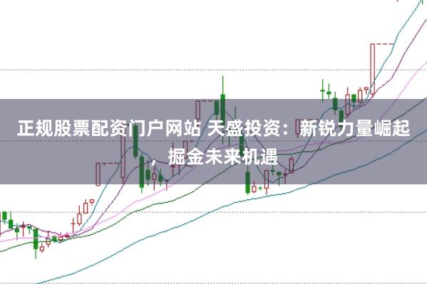 正规股票配资门户网站 天盛投资：新锐力量崛起，掘金未来机遇