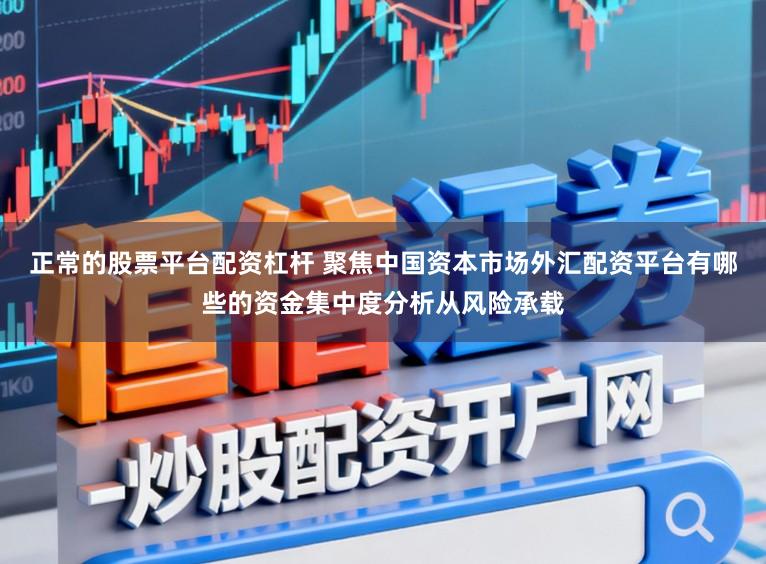 正常的股票平台配资杠杆 聚焦中国资本市场外汇配资平台有哪些的资金集中度分析从风险承载