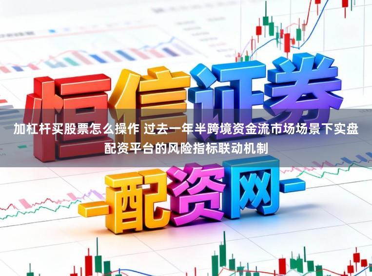 加杠杆买股票怎么操作 过去一年半跨境资金流市场场景下实盘配资平台的风险指标联动机制